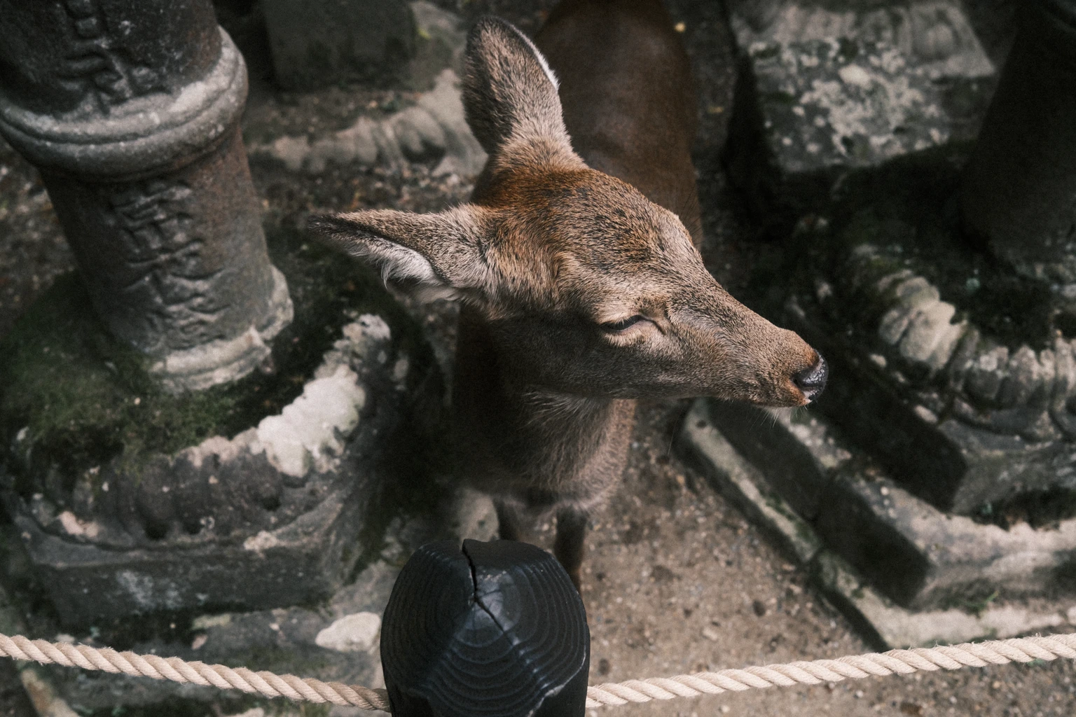 Nara