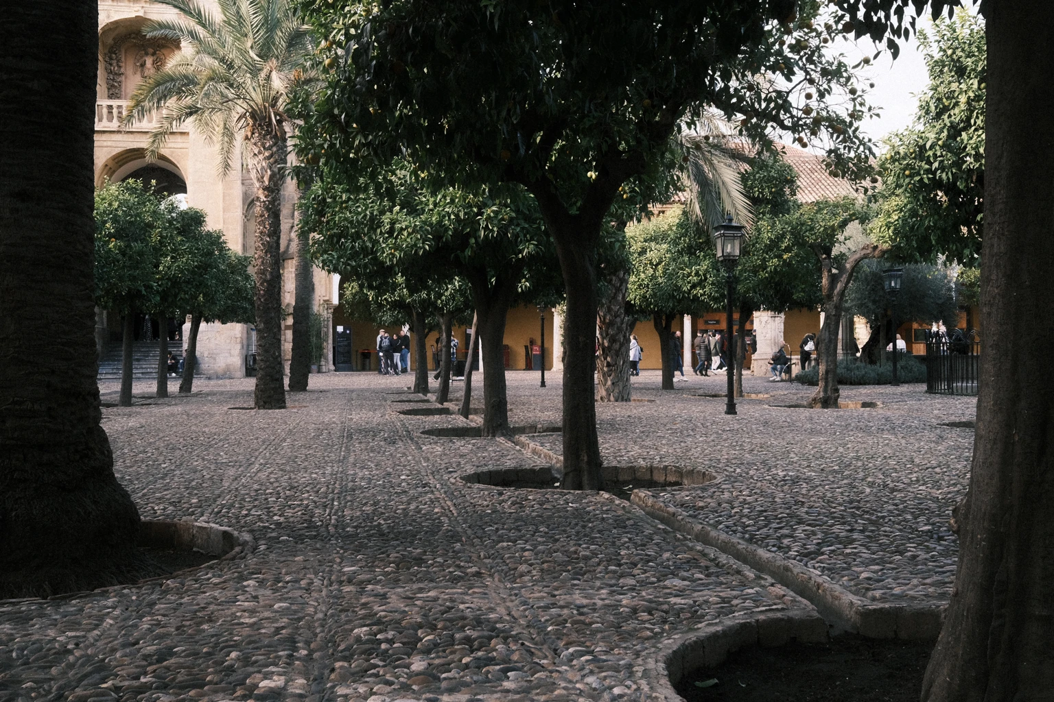 Córdoba